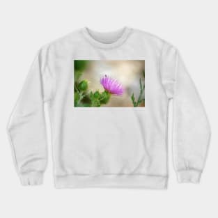 Thistle Crewneck Sweatshirt